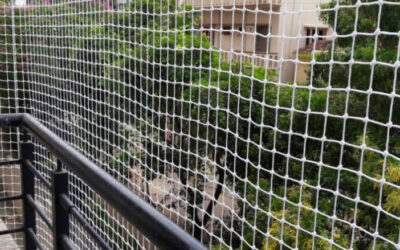 Balcony Covering Nets Online Installation Price Bangalore, Call 6362616292 for Free Quote