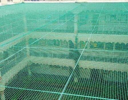 Open Area Pigeon Nets Service in Bangalore, Call 6362616292 for Free Quote