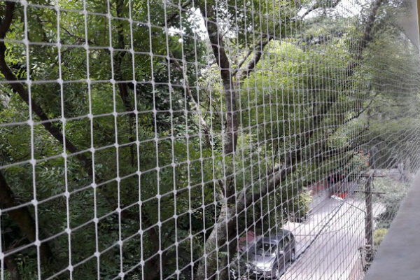 Anti Bird Net Installation Cost In Bangalore Call 6362616292 Ideal Bird Netting For Free Inspection and Installation with Lowest Quote