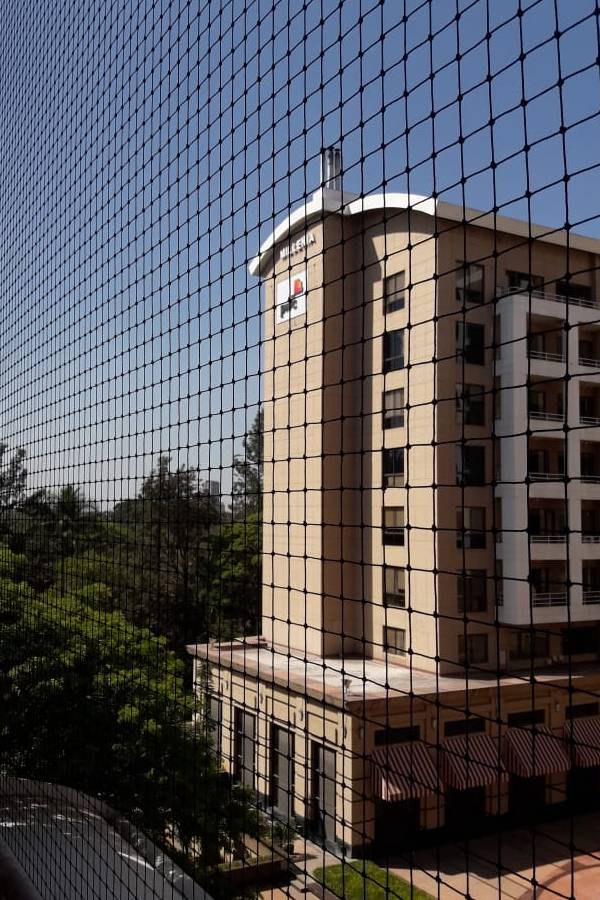 Bird Netting Service/ Dealers in Bangalore | Call 6362616292 Ideal
