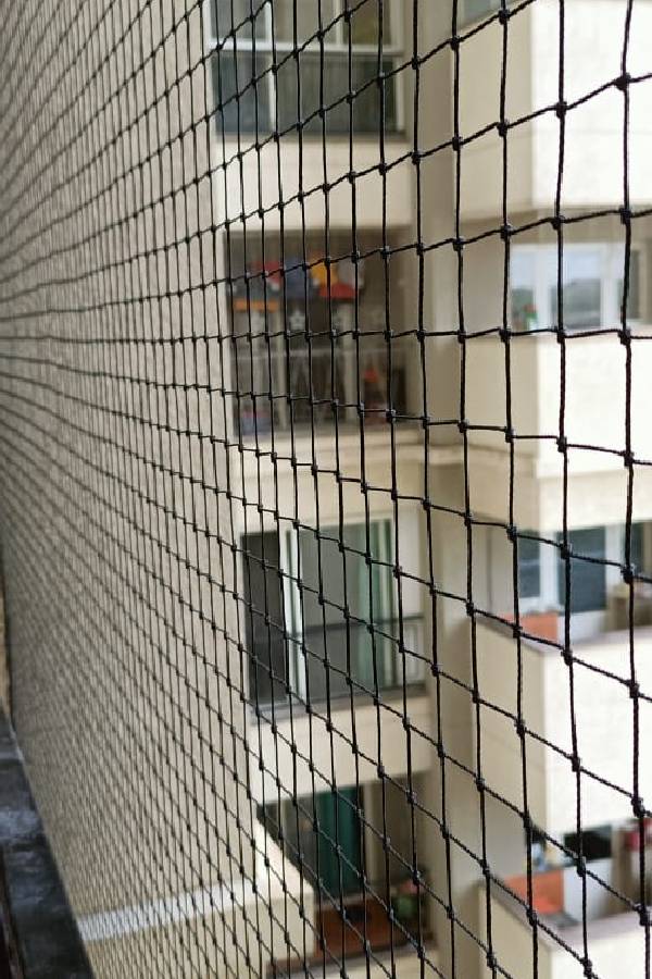 Bird Netting Service/ Dealers in Bangalore | Call 6362616292 Ideal