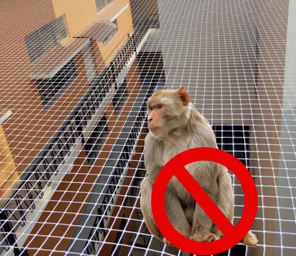 Monkey Safety Nets for Balconies in Bangalore | Call 6362616292 Ideal Bird Netting for Quick Service.