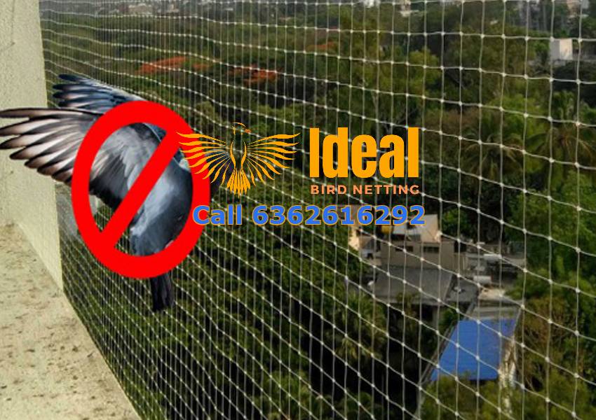 Pigeon Safety Nets In Bangalore, Mysuru, Hyderabad, Chennai, Pune, Mumbai | Call 6362616292 Cost Per SFT