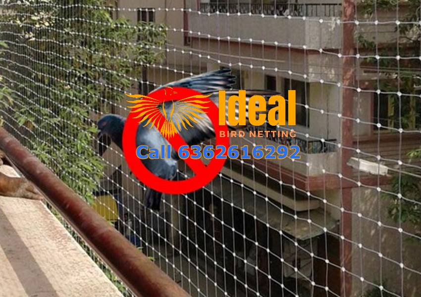 Pigeon Nets in Bangalore, Mysuru, Hyderabad, Chennai, Pune, Mumbai | Call 6362616292 Dealers & Suppliers