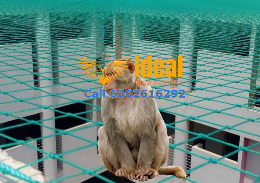 Monkey Safety Nets for Balconies in Bangalore | Call 6362616292 Ideal Bird Netting for Quick Service.