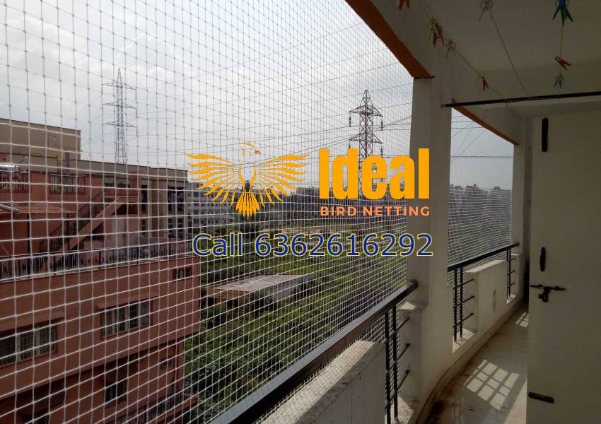 Bird Protection Nets in Bangalore, Mysuru, Hyderabad, Chennai, Pune, Mumbai | Call 6362616292 for Free Install