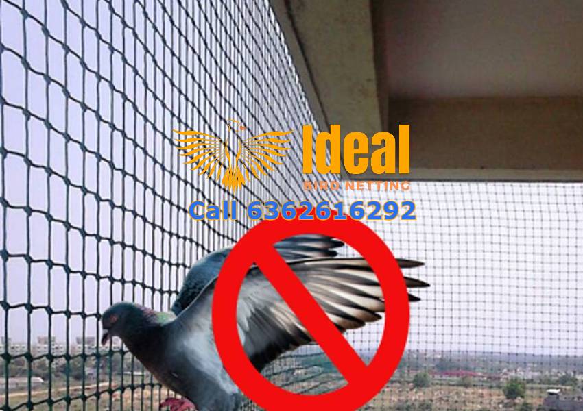 Pigeon Netting Service Near Me in Bangalore, Mysuru, Hyderabad, Chennai, Pune, Mumbai | Call 6362616292