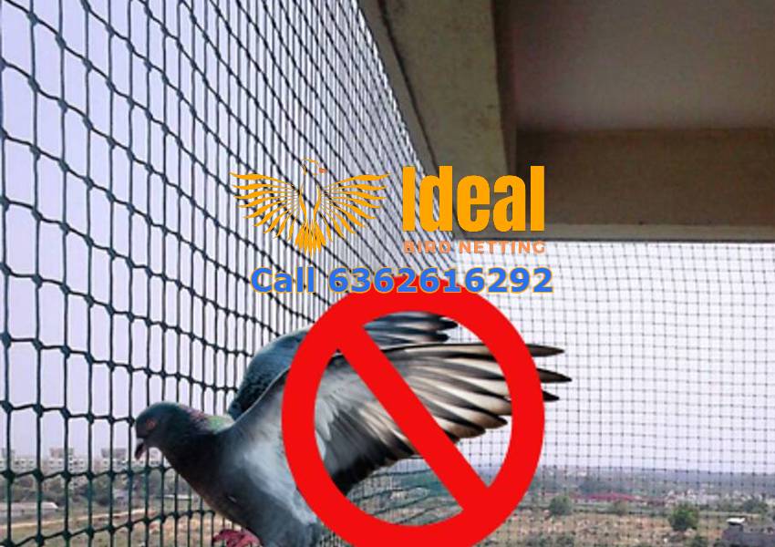 Pigeon Netting Service Near Me in Mysuru Call 6362616292