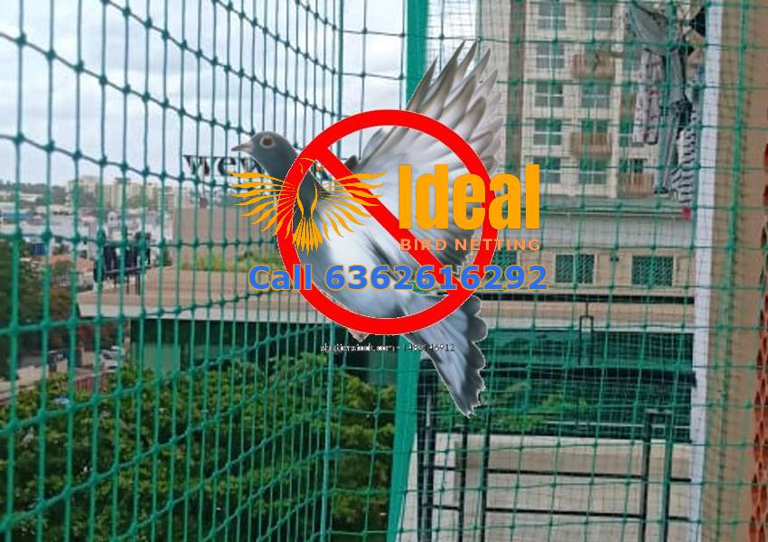 Pigeon Nets for Balconies in Bangalore, Mysuru, Hyderabad, Chennai, Pune, Mumbai | Get Per Square Feet Rate